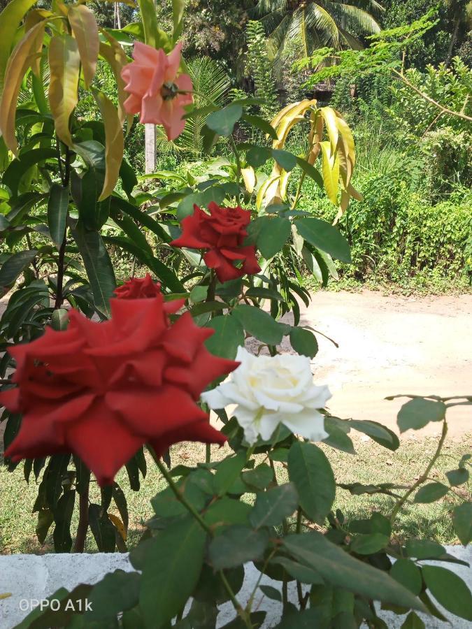 Sidhangana Home Stay Anuradhapura Exterior foto